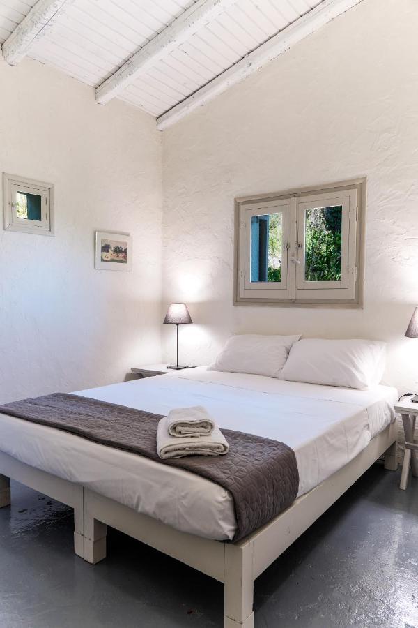 Dimoulitsa Complex Tatil Evi
