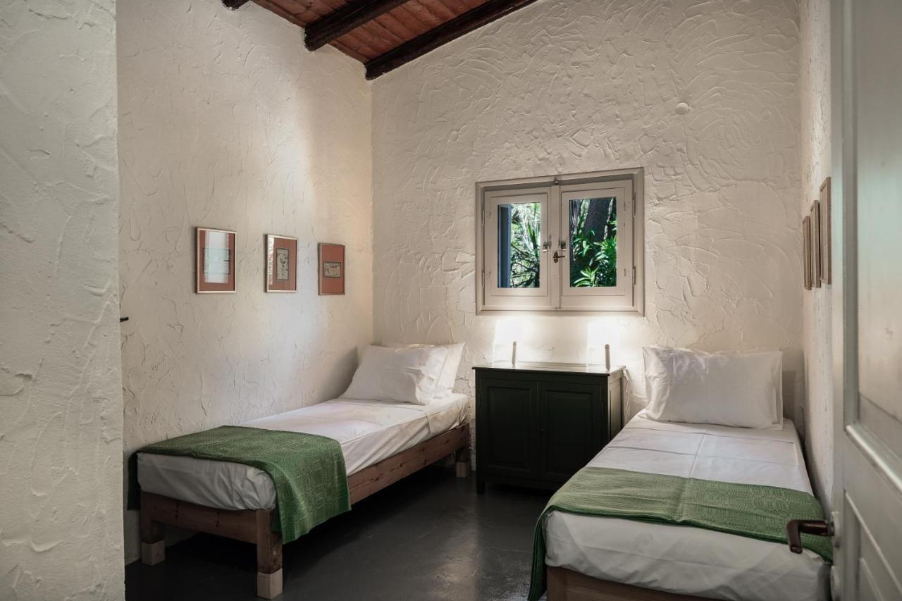 Dimoulitsa Complex Tatil Evi